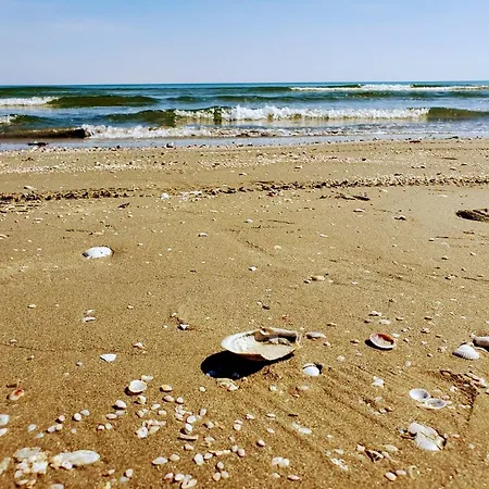 Sea View Studio 10 Mamaia Nord * Năvodari