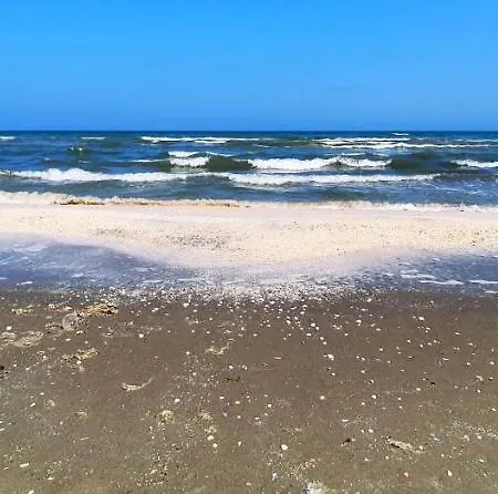 Lägenhet Sea View Studio 10 Mamaia Nord *