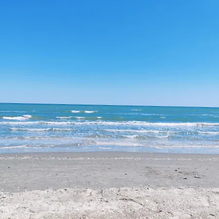 Lägenhet Sea View Studio 10 Mamaia Nord *