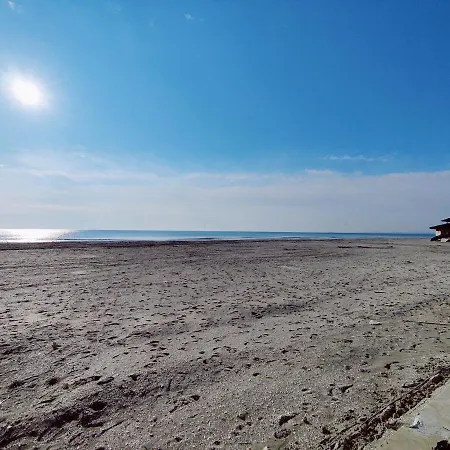 Lägenhet Sea View Studio 10 Mamaia Nord