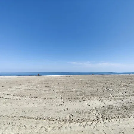 Sea View Studio 10 Mamaia Nord Lägenhet